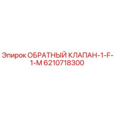 6210718300 ОБРАТНЫЙ КЛАПАН-1-F-1-M Epiroc