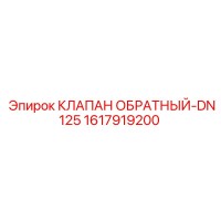 1617919200 КЛАПАН ОБРАТНЫЙ-DN125 Epiroc
