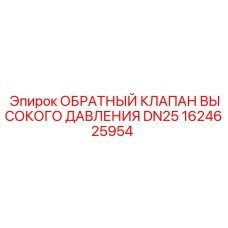 1624625954 ОБРАТНЫЙ КЛАПАН ВЫСОКОГО ДАВЛЕНИЯ DN25 Epiroc