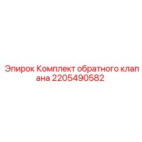 2205490582 Комплект обратного клапана Epiroc