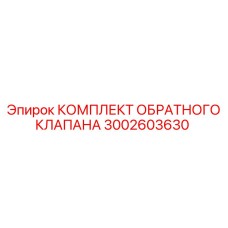 3002603630 КОМПЛЕКТ ОБРАТНОГО КЛАПАНА Epiroc