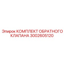 3002605120 КОМПЛЕКТ ОБРАТНОГО КЛАПАНА Epiroc