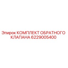 6229005400 КОМПЛЕКТ ОБРАТНОГО КЛАПАНА Epiroc