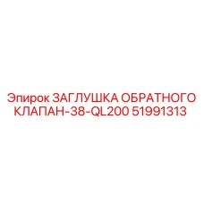 51991313 ЗАГЛУШКА ОБРАТНОГО КЛАПАНА-38-QL200 Epiroc