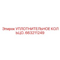 663211249 УПЛОТНИТЕЛЬНОЕ КОЛЬЦО Epiroc
