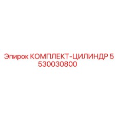 5530030800 КОМПЛЕКТ-ЦИЛИНДР Epiroc
