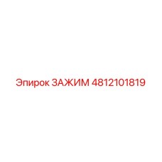 4812101819 ЗАЖИМ Epiroc