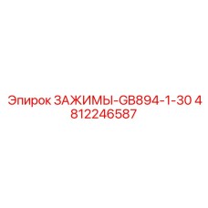 4812246587 ЗАЖИМЫ-GB894-1-30 Epiroc