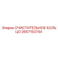 2657153744 ОЧИСТИТЕЛЬНОЕ КОЛЬЦО Epiroc