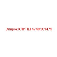 4749301479 КЛИПЫ Epiroc