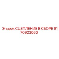 9170923060 СЦЕПЛЕНИЕ В СБОРЕ Epiroc