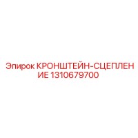 1310679700 КРОНШТЕЙН-СЦЕПЛЕНИЕ Epiroc