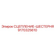 9170325610 СЦЕПЛЕНИЕ-ШЕСТЕРНЯ Epiroc