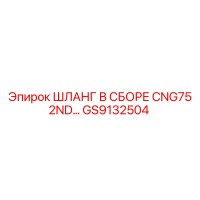 GS9132504 ШЛАНГ В СБОРЕ CNG75 2ND Epiroc