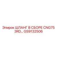 GS9132506 ШЛАНГ В СБОРЕ CNG75 3RD Epiroc