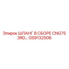 GS9132506 ШЛАНГ В СБОРЕ CNG75 3RD Epiroc