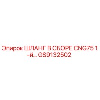 GS9132502 ШЛАНГ В СБОРЕ CNG75 1-й Epiroc