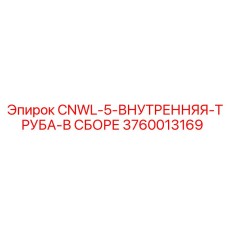 3760013169 CNWL-5-ВНУТРЕННЯЯ-ТРУБА-В СБОРЕ Epiroc