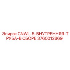 3760012869 CNWL-5-ВНУТРЕННЯЯ-ТРУБА-В СБОРЕ Epiroc