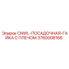 3760008166 CNWL-ПОСАДОЧНАЯ-ГАЙКА С ПЛЕЧОМ Epiroc