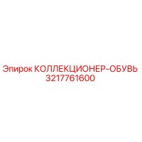 3217761600 КОЛЛЕКЦИОНЕР-ОБУВЬ Epiroc