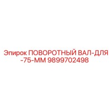 9899702498 ПОВОРОТНЫЙ ВАЛ-ДЛЯ-75-ММ Epiroc