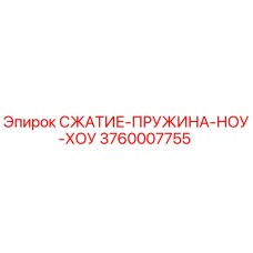 3760007755 СЖАТИЕ-ПРУЖИНА-НОУ-ХОУ Epiroc