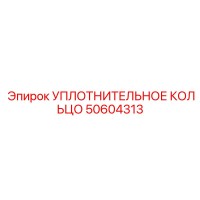 50604313 УПЛОТНИТЕЛЬНОЕ КОЛЬЦО Epiroc