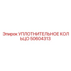 50604313 УПЛОТНИТЕЛЬНОЕ КОЛЬЦО Epiroc