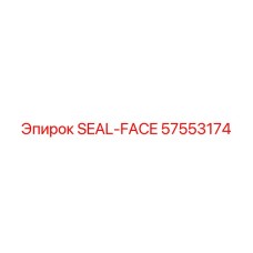 57553174 SEAL-FACE Epiroc