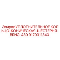 9170311340 УПЛОТНИТЕЛЬНОЕ КОЛЬЦО-КОНИЧЕСКАЯ-ШЕСТЕРНЯ-BRNG-430 Epiroc