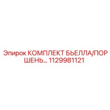 1129981121 КОМПЛЕКТ БЬЕЛЛА/ПОРШЕНЬ Epiroc