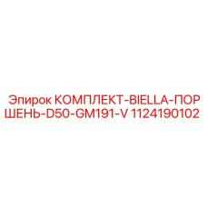 1124190102 КОМПЛЕКТ-BIELLA-ПОРШЕНЬ-D50-GM191-V Epiroc