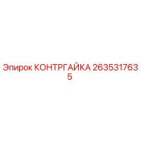 2635317635 КОНТРГАЙКА Epiroc