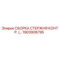 1903908795 СБОРКА СТЕРЖНЯ КОНТР. (Epiroc)