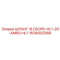 1636002068 ШЛАНГ-В СБОРЕ-HL1-2G-AM60-HL1 Epiroc