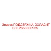 2653300935 ПОДДЕРЖКА ОХЛАДИТЕЛЬ Epiroc