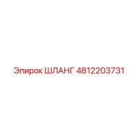 4812203731 Шланг Epiroc