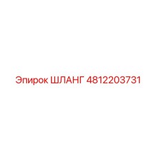 4812203731 Шланг Epiroc