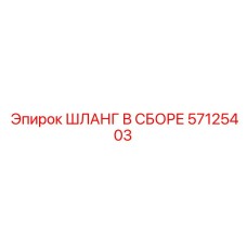 57125403 ШЛАНГ В СБОРЕ Epiroc