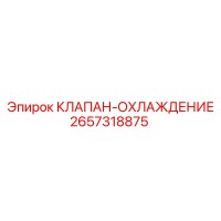 2657318875 КЛАПАН-ОХЛАЖДЕНИЕ Epiroc