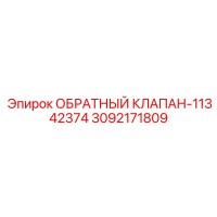 3092171809 ОБРАТНЫЙ КЛАПАН-11342374 Epiroc