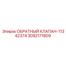 3092171809 ОБРАТНЫЙ КЛАПАН-11342374 Epiroc