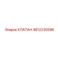 4812230596 КЛАПАН Epiroc