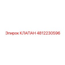 4812230596 КЛАПАН Epiroc