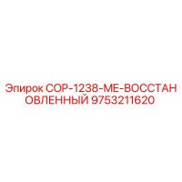 9753211620 COP-1238-ME-ВОССТАНОВЛЕННЫЙ Epiroc