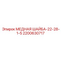 2200630717 МЕДНАЯ ШАЙБА-22-28-1-5 Epiroc