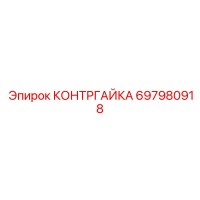 697980918 КОНТРГАЙКА Epiroc