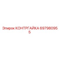 697980955 КОНТРГАЙКА Epiroc