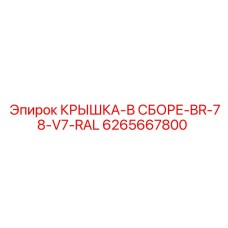 6265667800 КРЫШКА-В СБОРЕ-BR-78-V7-RAL Epiroc